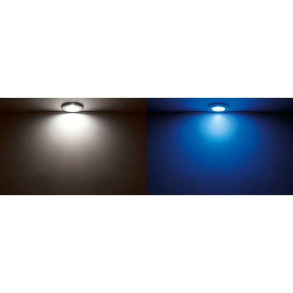 Quick Marine - Bryan C Dual IP66 LED Downlight (Warm White/Blue, 2+2W, 10/30V, Stainless Steel) (FASP3442X1CCA00)
