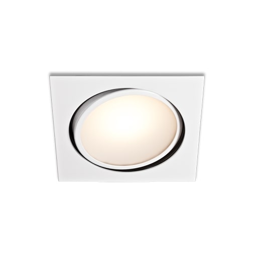BCM - Atlanta 80 Downlight - 2W, 4000K, 8-32V, IP66, Ultra White