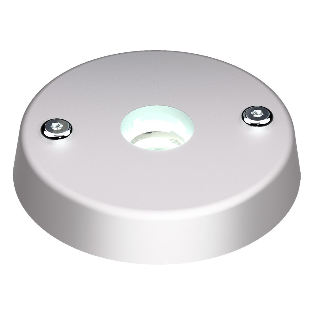 Lopolight Spreader Light, White/Red, Surface Mount, 12/24VDC, IP68