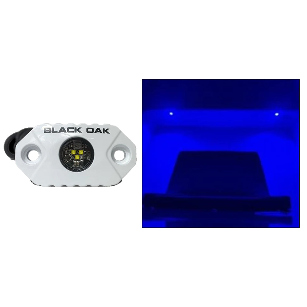 Black Oak - Rock Accent Light - Blue, White Housing