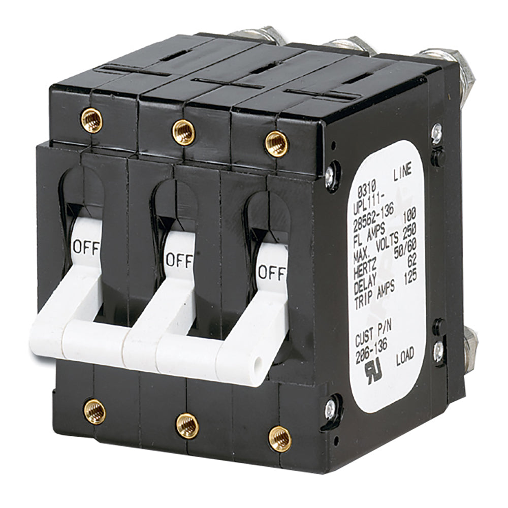 Paneltronics - C Frame Magnetic Circuit Breaker - Double Pole, White