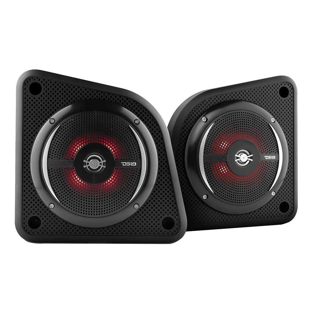 DS18 - Universal Shallow Enclosure - With Marine Speaker, 100W, Black
