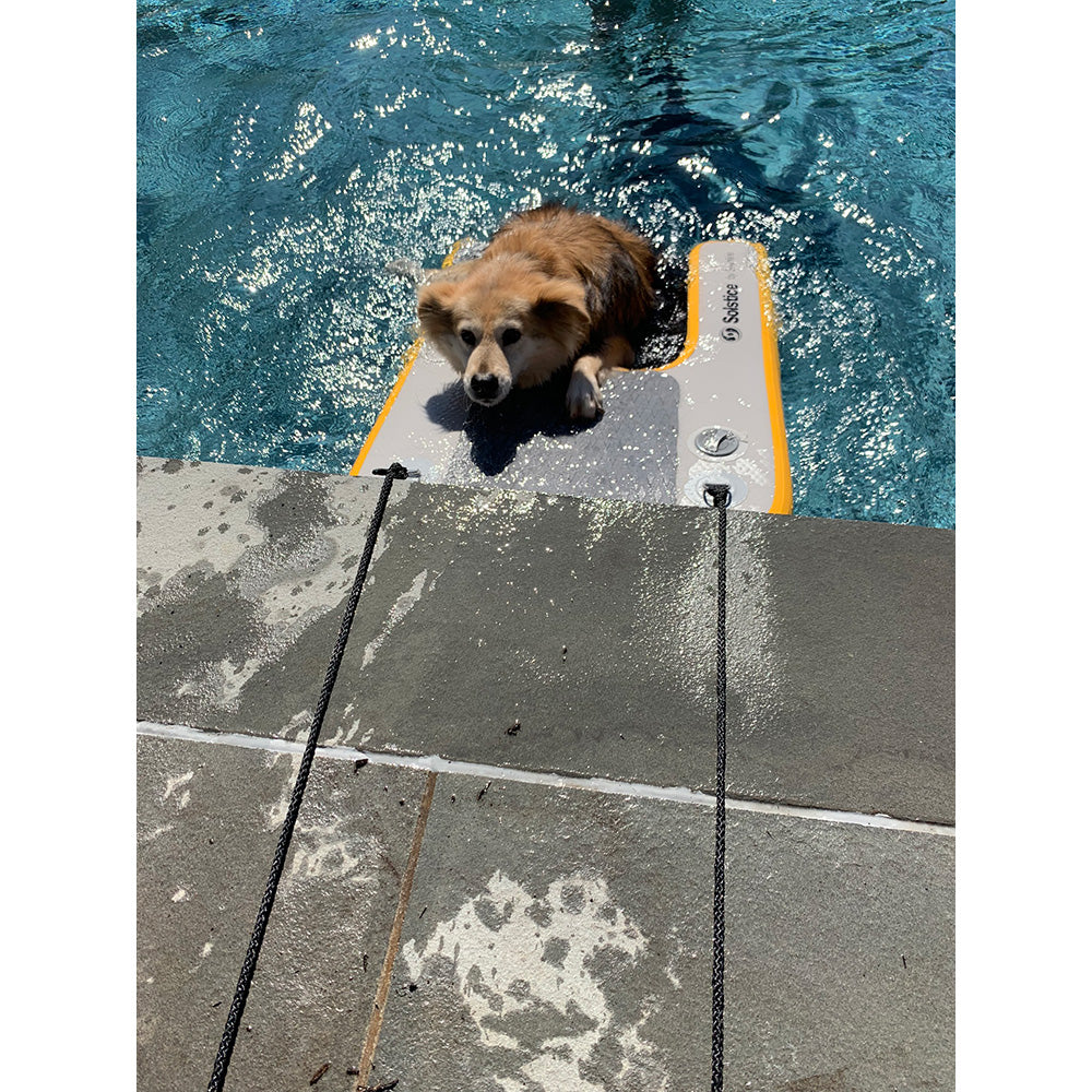 Solstice Watersports - Inflatable PupPlank Dog Ramp