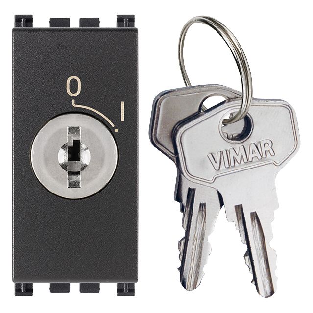 Vimar ARKÉ 2P NO Key-Operated Push Button, 16A, 250V, IP40