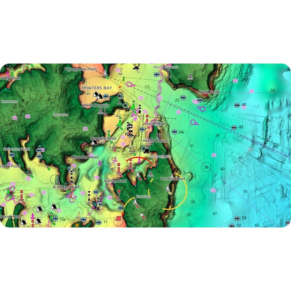 C-MAP - Reveal X microSD Electronic Chart
