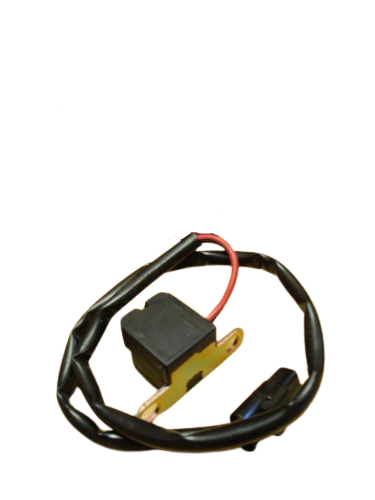 Brp Ignition Coil - Brp (5032614)