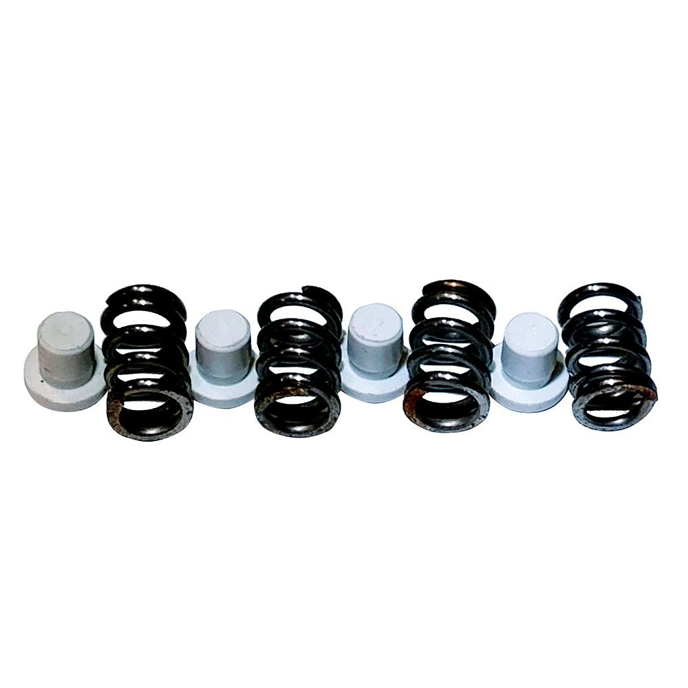 Maxwell Plunger/Spring Kit - 2200-4500 P101550