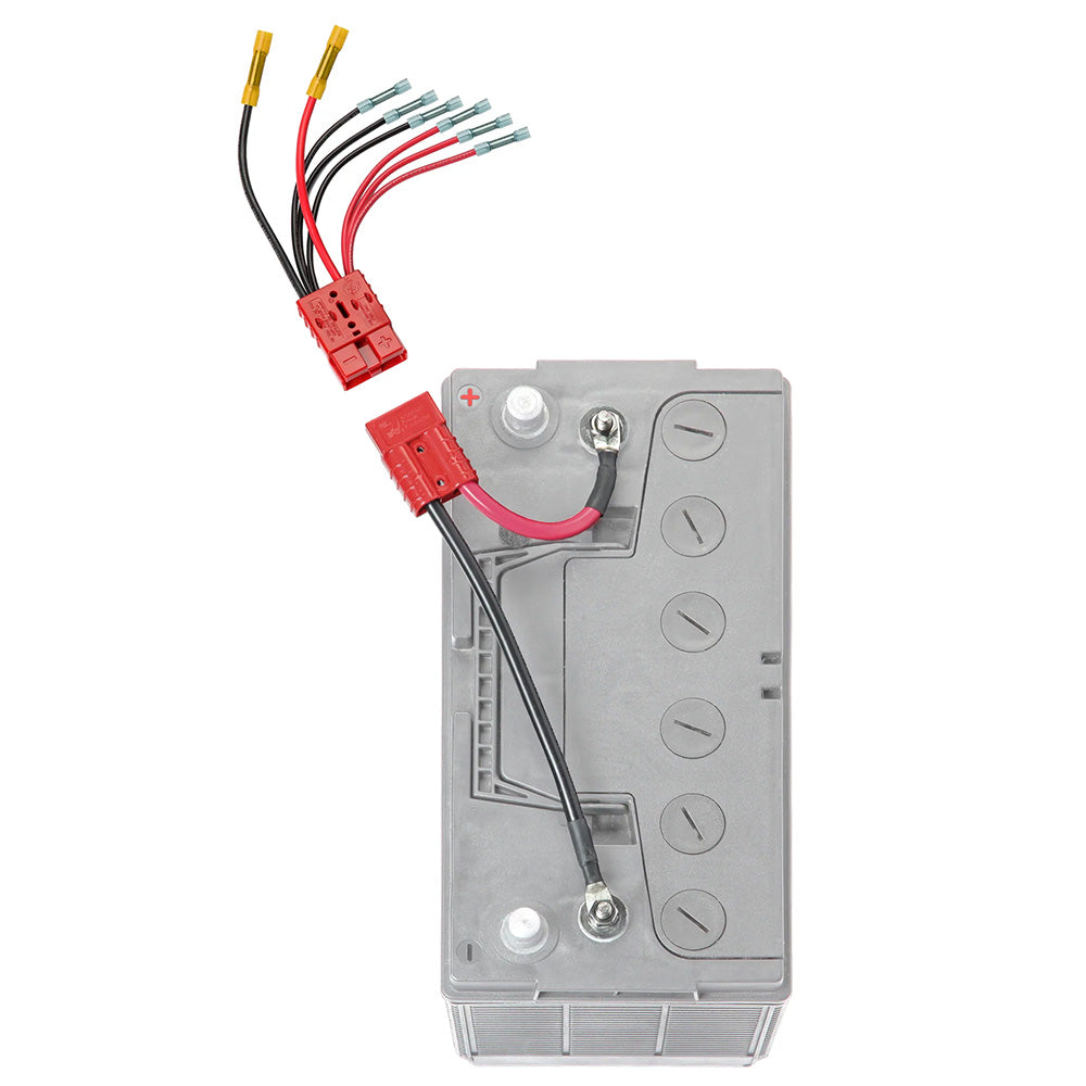 Connect-Ease 12V Non-Fused Multi-Connection System RCE12VB4K