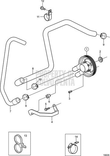 Volvo Penta Hose - Volvo Penta (3860159)