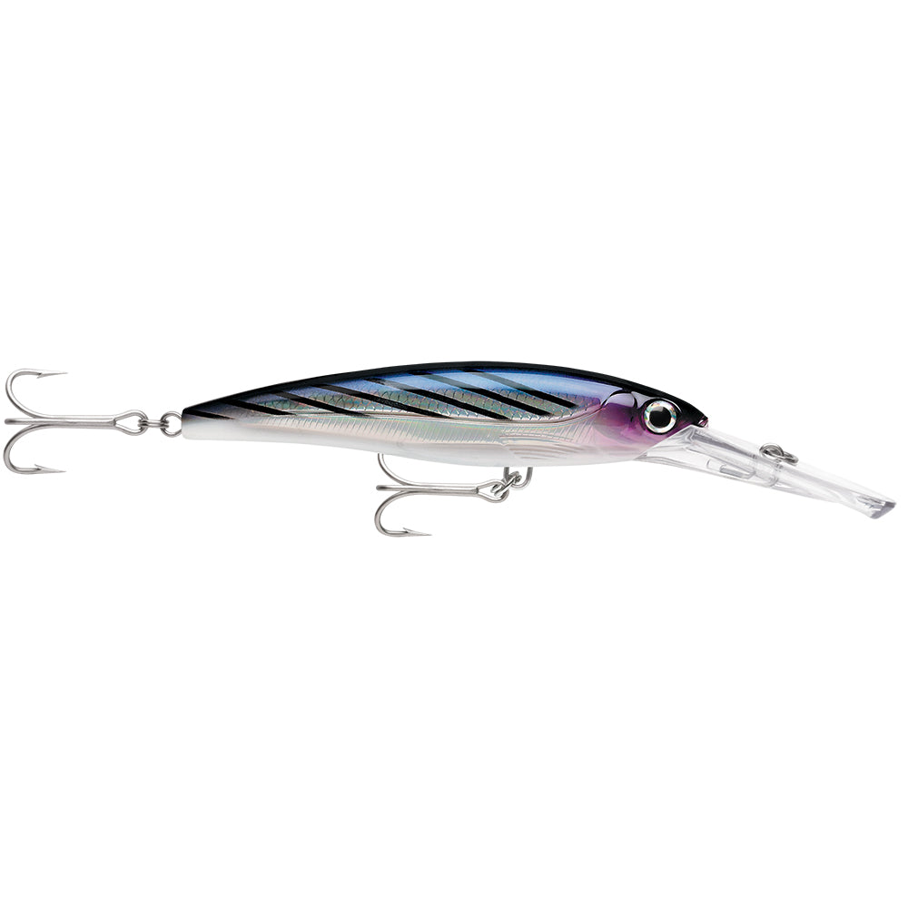 Rapala X-Rap® Magnum® 20 Bonito XRMAG20BTO
