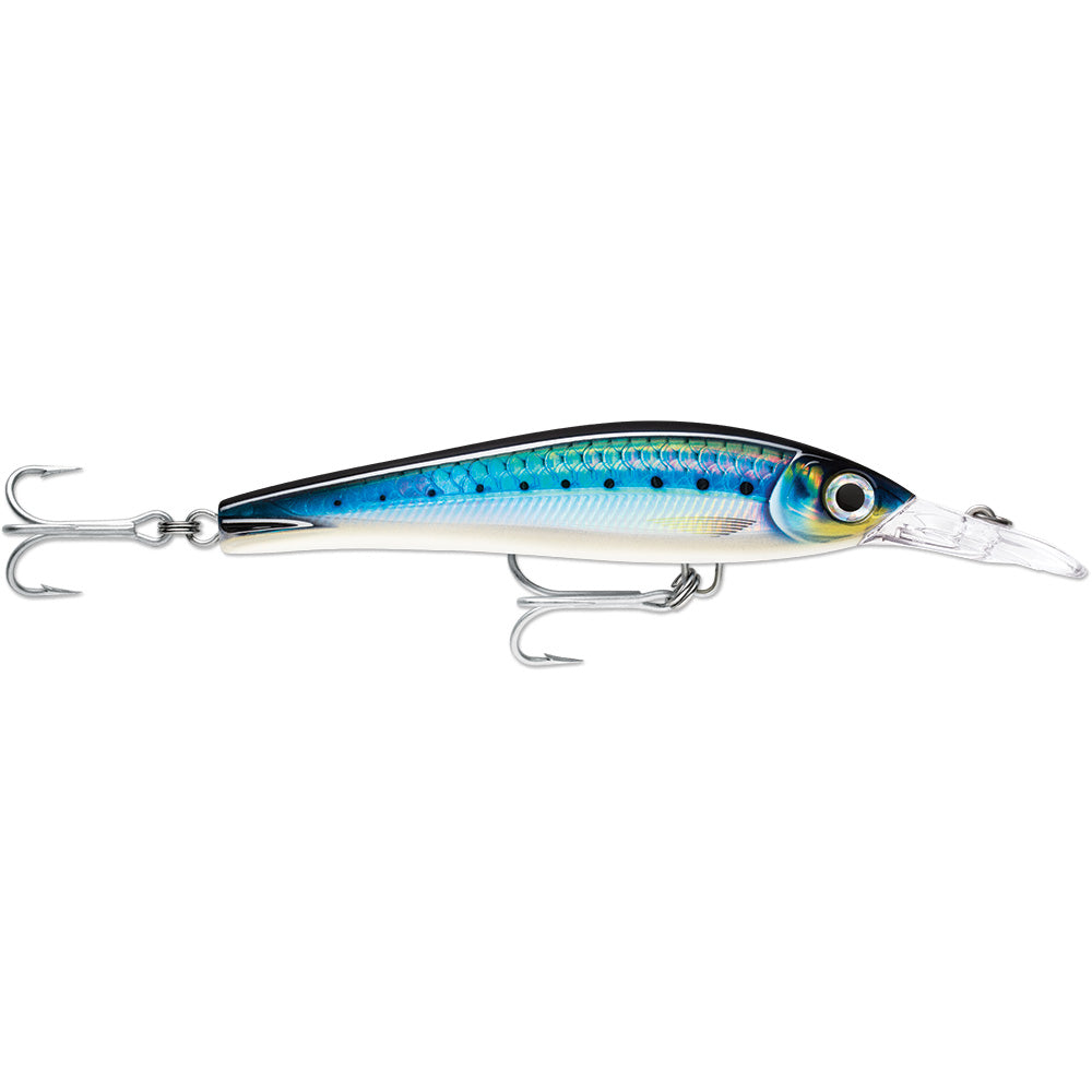 Rapala X-Rap® Magnum® Xtreme 6-1/4" HD Blue Sardine XRMAGXT160HDBSRD