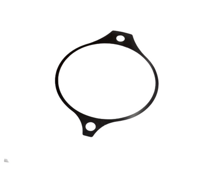 Volvo Penta Shim .006 (3883815)