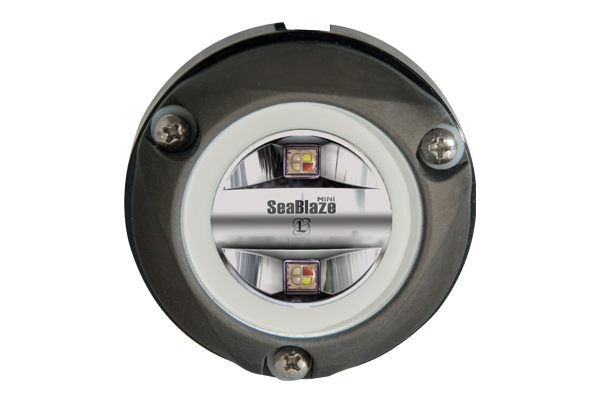 Lumitec Zambezi Mini Surface Mount LED Underwater Light, 10-30VDC, IP68