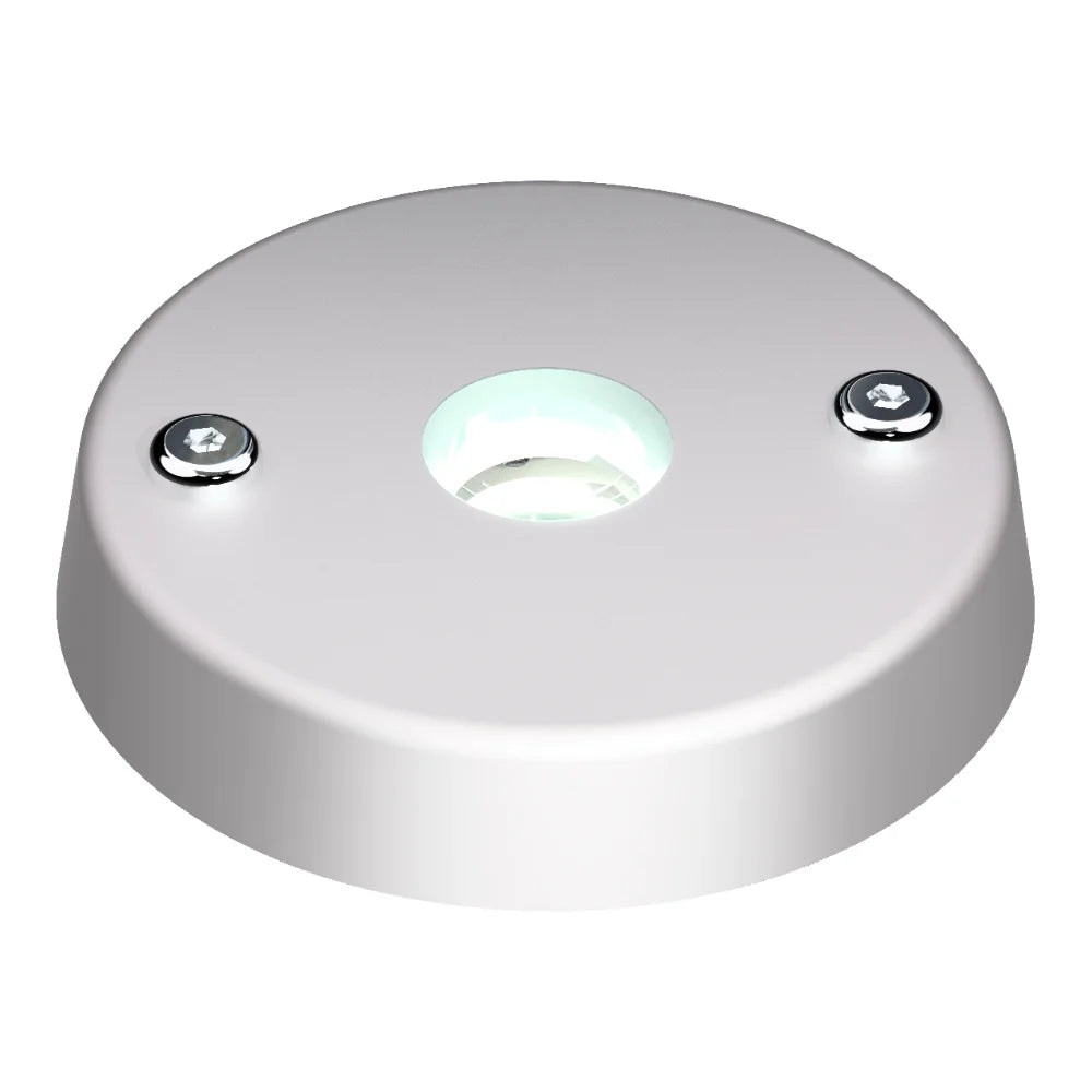 Lopolight LED Spreader Light, 10-32VDC, Surface Mount, White and Red Light