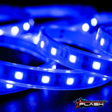 Plash - Waterproof Flexible Light Strip - IP68, 12V, Blue, 2ft (FLS-BL-68-2FT)