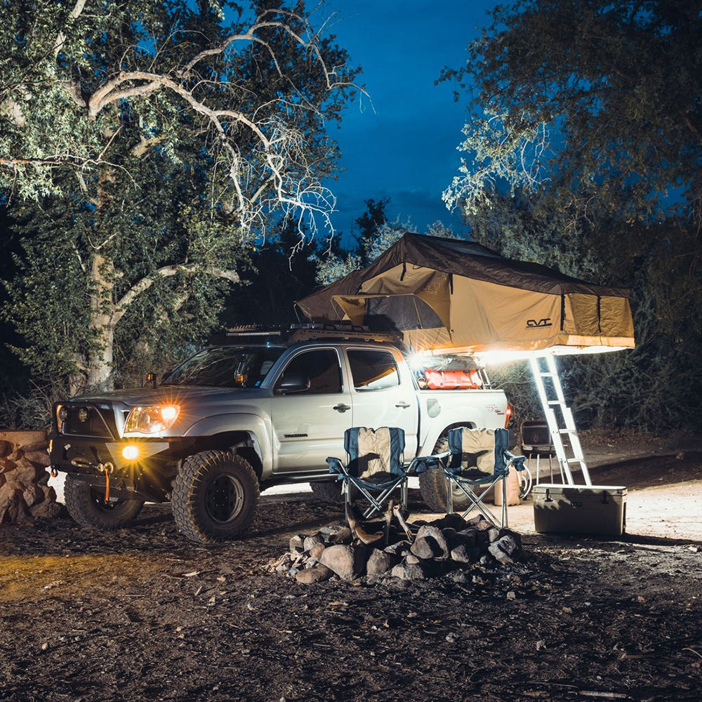 RIGID Industries - Radiance Scene Lights - 30W, 9-15V, IP68