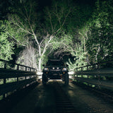 RIGID Industries - Radiance Scene Lights - 30W, 9-15V, IP68