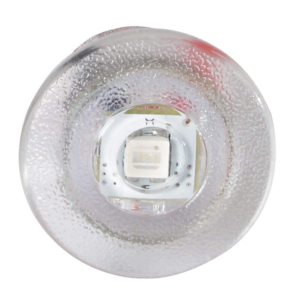 Lumitec Newt LED Livewell Light, 10-16V, IP67, 5/8in Hole Mount