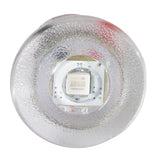Lumitec Newt LED Livewell Light, 10-16V, IP67, 5/8in Hole Mount