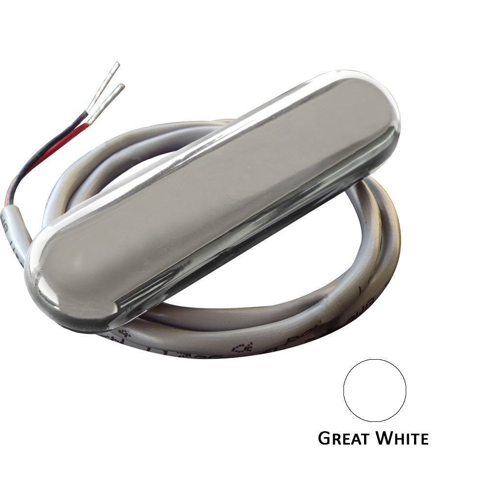 Shadow - Caster Courtesy Light with 2' Lead Wire, 316 SS Cover, Great White, 4-Pack