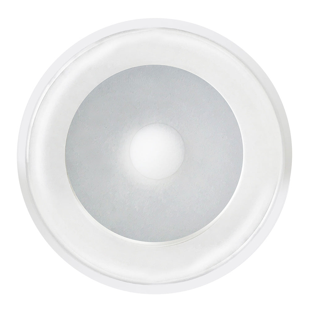 Shadow - Caster Downlight, White Housing, Cool White