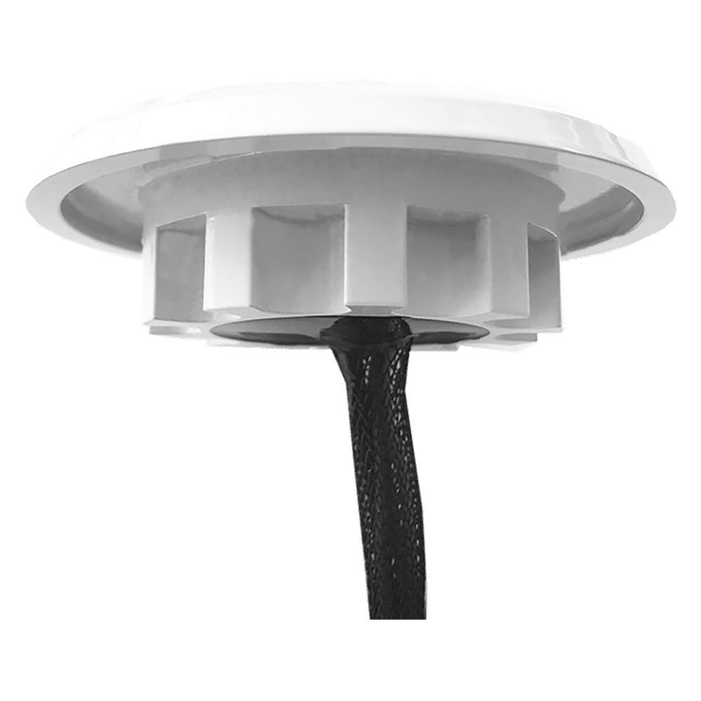 Shadow - Caster Downlight, White Housing, Cool White