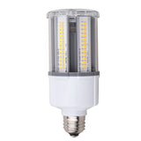 Apollo - LED Corn Bulbs - E26 base, 7W, 6000k