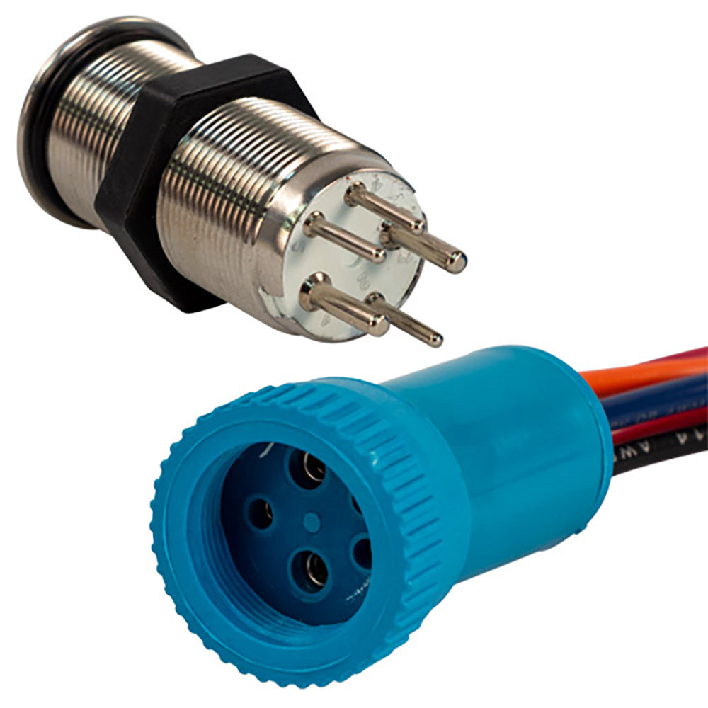 Bluewater - Push Button Switch - Off/(On) Momentary Contact, Blue/Red LED, 4' Lead, 19mm