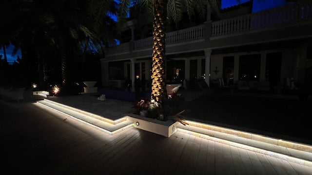 Apollo - 5X8 Neon Flex - 6W/M, Dimmable