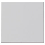 Vimar Plana Interchangeable RF Switch Buttons, for EnOcean, Bluetooth, ZigBee RF Devices, IP40, Halogen-Free Thermoplastic