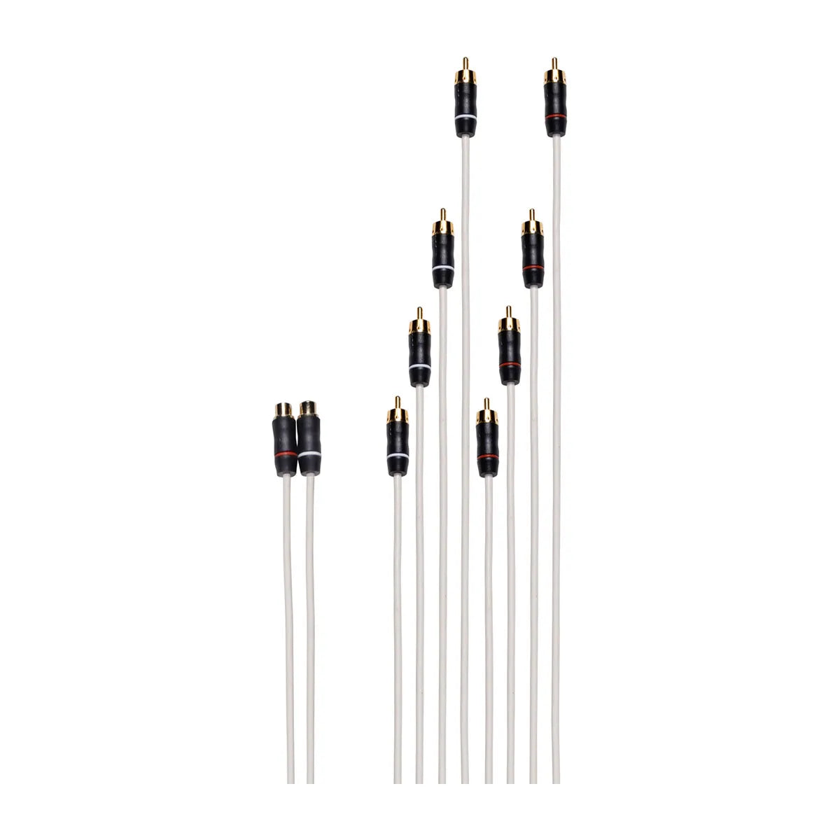 Fusion - RCA Splitter Cable - 2 Female RCA's to 8 Male RCA's