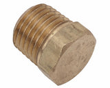 Sea Star Solutions Plug, 1/4" Brass (18-4256)