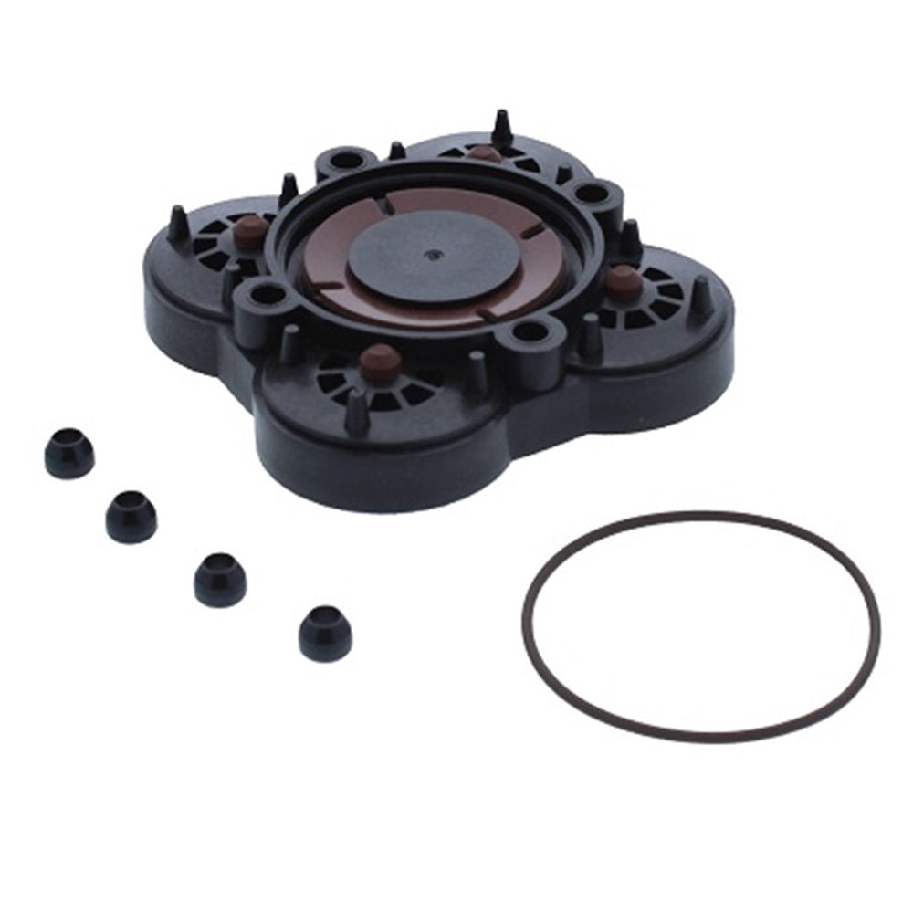 Jabsco Check Valve Kit, For Diaphragm Pump, Viton