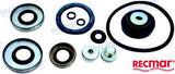Recmar Gearcase Seal Kit (Rec396350)