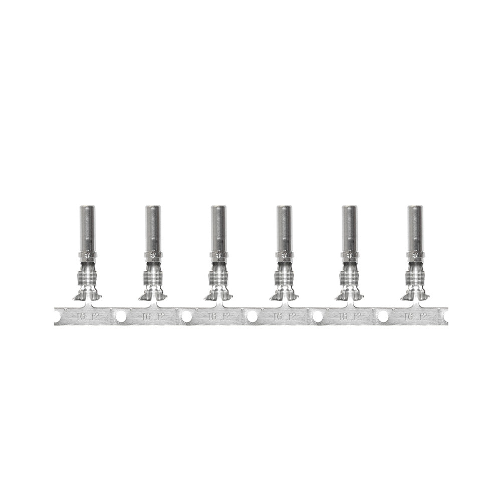 Pacer DTP Deutsch Socket f/10 AWG Wire - Size 12 Contact (10 Pack) T10DTP-S-10