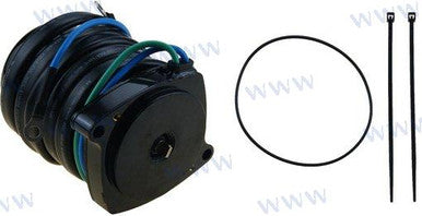 Recmar Trim Motor (Rec6Aw-43880-22)