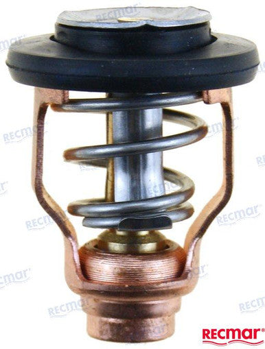 Recmar Thermostat (Rec6D9-12411-00)