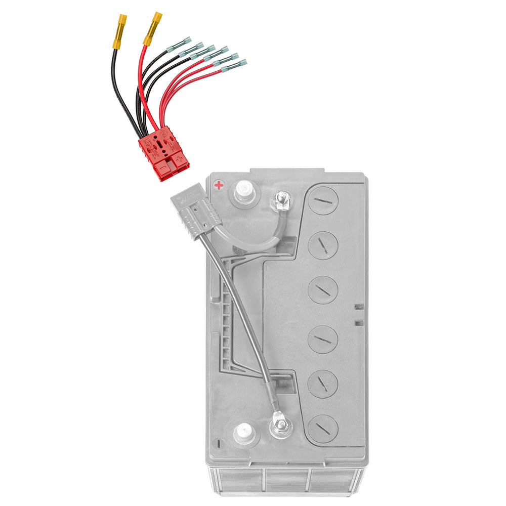 Connect-Ease Multi 4 Lead Accessory f/Main Battery RCE12VB4