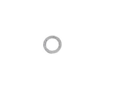 Brp Washer - Brp (326587)