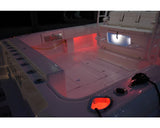 Lumitec Newt LED Livewell Light, 10-16V, IP67, 5/8in Hole Mount
