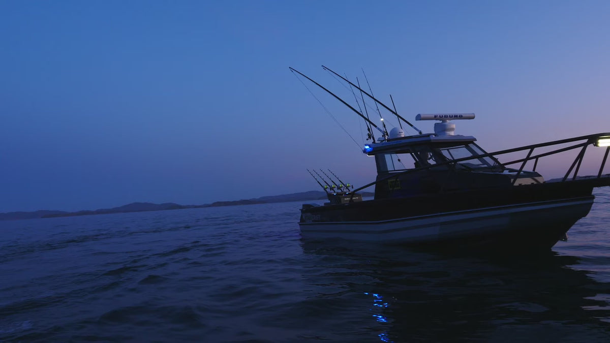 Hella Marine Sea Hawk-350 LED Light Bar, 9-33V, IP6K9K, Dual Intensity 25W/5W, 2200 Lumens, 5000K